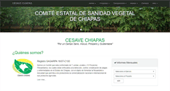 Desktop Screenshot of cesavechiapas.org.mx